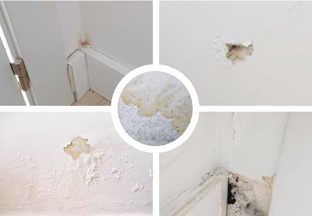 Humedades por capilaridad en vivienda